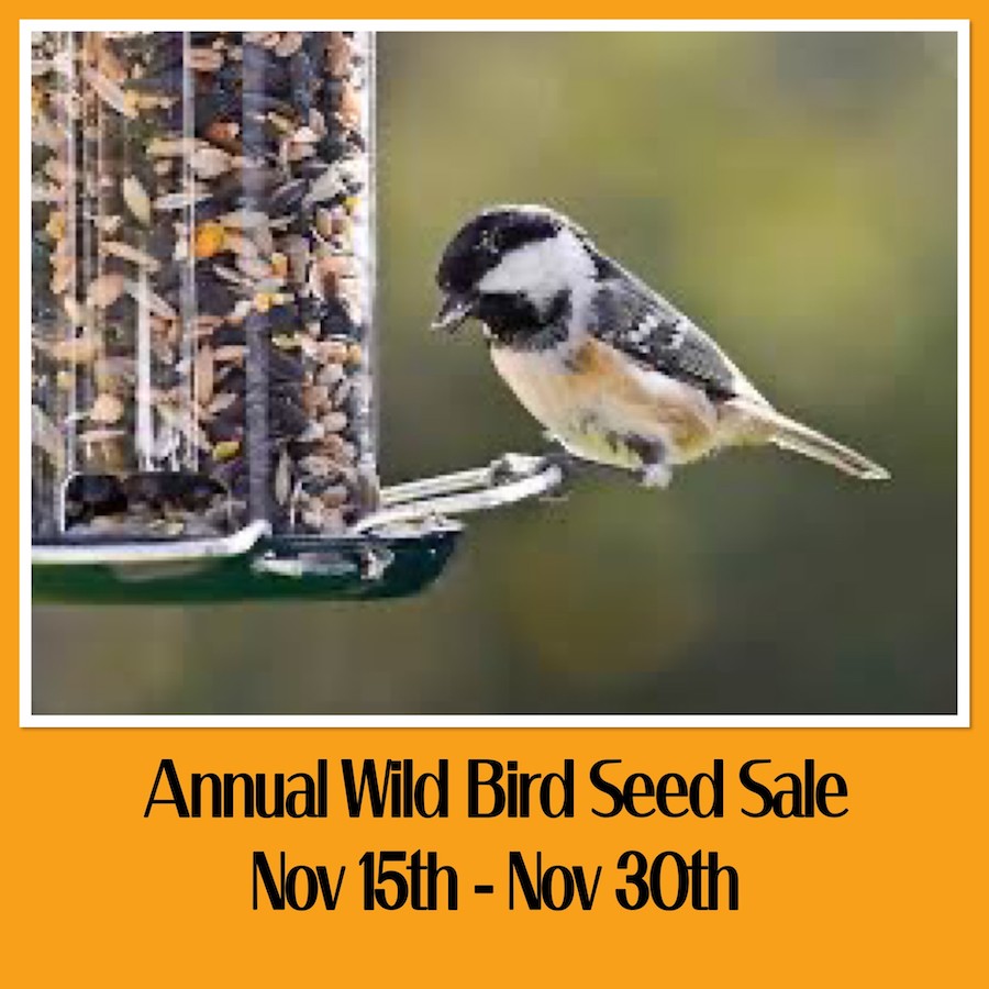 Bird Seed Sale